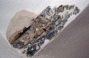 Què és l’aluminosi?